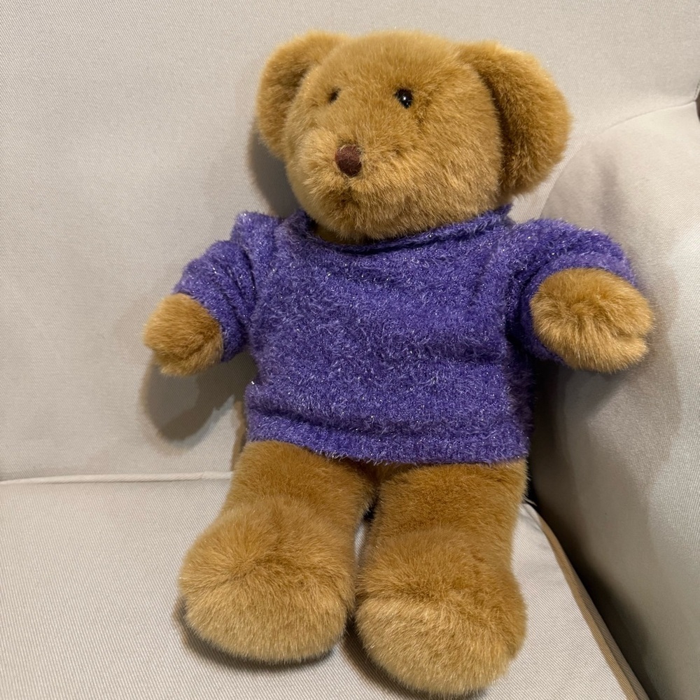 Build-A-Bear Brown Teddy with Cozy Purple Sweater